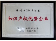 Cutting Edge IPR Enterprise of Shenzhen