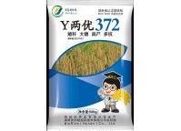YⅡ372
