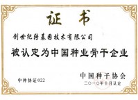 Leading Seed Enterprises in China