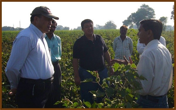张国治副总裁、刘建卫副总裁一行在印度考察中国抗虫棉的丰硕成果